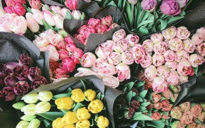 Best Flower Shop in Oxnard – Andy Flowers- Florist In Oxnard